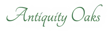 The Retreat at Antiquity Oaks